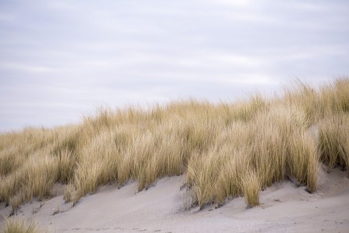 dunes-2141473__340